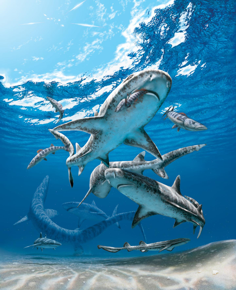 An artist’s interpretation of marine life as it existed just before the Cretaceous-Paleogene extinction